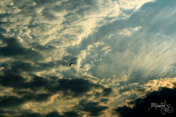 Фотовиставка Тетяни Должко